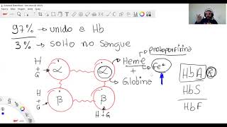 Capitulo 41- Guyton - Transporte de oxigênio e dióxido de carbono.