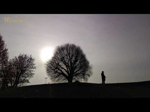 Piano Harp Pedal - Artur Cimirro / BACH Prelude-No1_welltemperedclavier