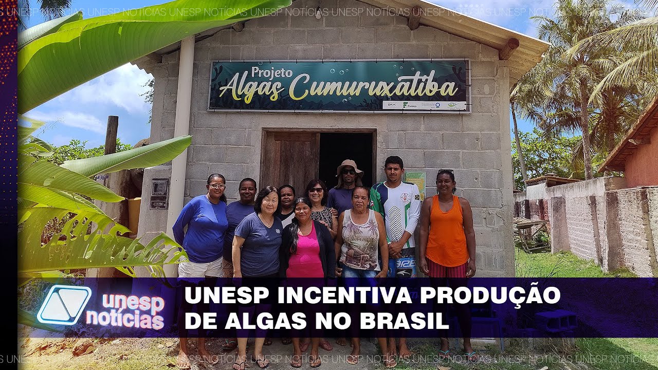 Grupo unespiano que pesquisa sobre a produção de algas dá suporte a projetos no Nordeste