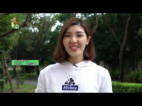 ホット台南EP4.嘉里散策ツアー (Hot Tainan EP4. A Walking Tour of Jiali)