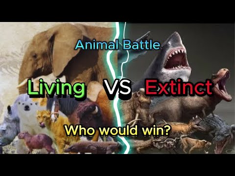 Living vs Extinct Animal Battle - Living Animal vs Extinct Animal