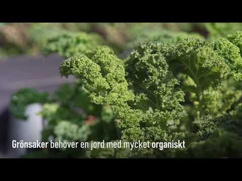 Välj rätt jord till din odling