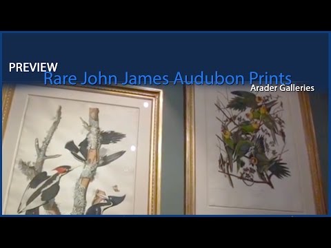 YouTube video about: How to tell value of audubon print?