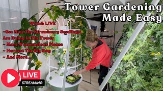 Tower Gardening Made Easy LIVE CAM #towergarden #hydroponicgardening #garden #farm #aeroponic