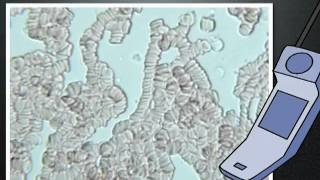 A vid called Holy Fuck