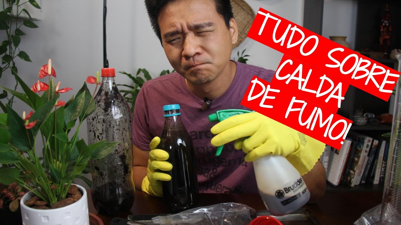 Tudo sobre a Calda de Fumo para lagartas, pulgões e cochonilhas