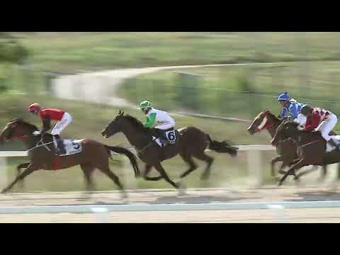 2023.09.17. 4. Futam - MOLNÁR ERNŐ EMLÉKVERSENY (III.kat.) (szintetikus pálya)