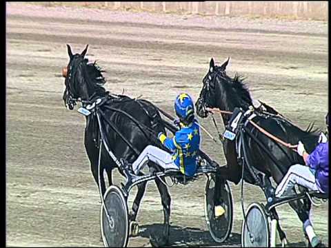 Trotto 29/04/2016 - 4° Corsa