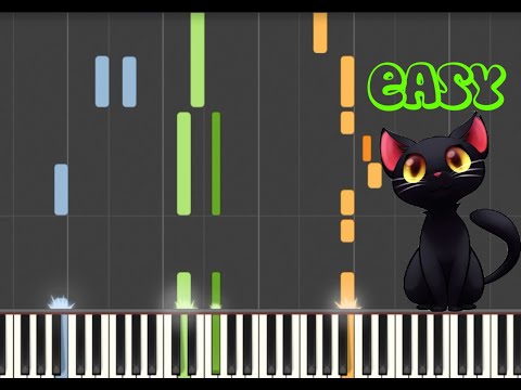 I WANTED A BLACK CAT - GOLDEN ZECCHINO - EASY PIANO TUTORIAL - THE PLAN ON THE TUBE
