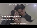 Vaalu Kanuladaanaa Slowed Reverb From Premikula Roju Mine Music Collection