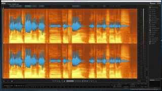 RX 5 Audio Editor