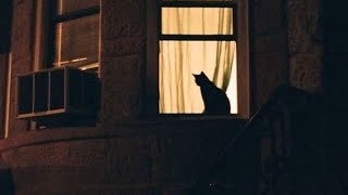 Moby - &quot;Hyenas&quot;