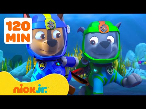 Psi Patrol - Sezon 8 - Odcinek 16 - Podwodne misje z Mer-Pup!