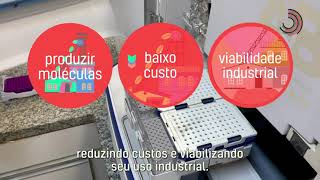 Miniatura do vídeo