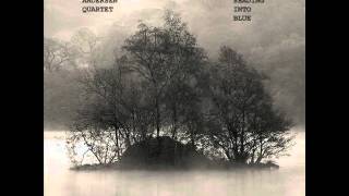 Arild Andersen - Anima