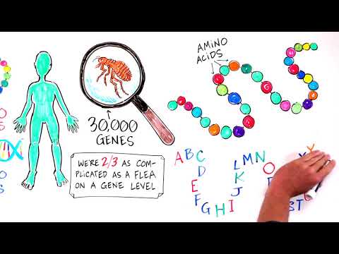 Chemical Farming & The Loss of Human Health  - Dr  Zach Bush