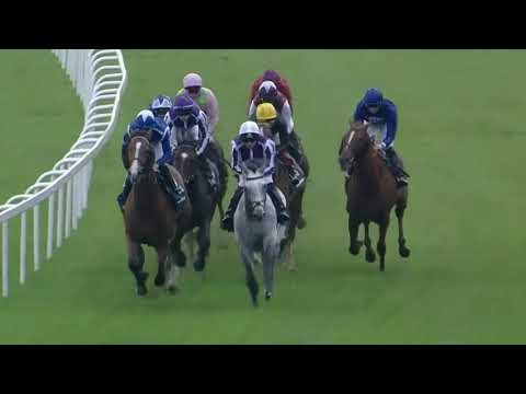 2019 British Champions Long Distance Cup G2 -  Kew Gardens (植物園) - D.O'Brien