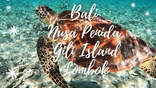Indonesia tra Bali, Nusa Penida, Gili Island e Lombok