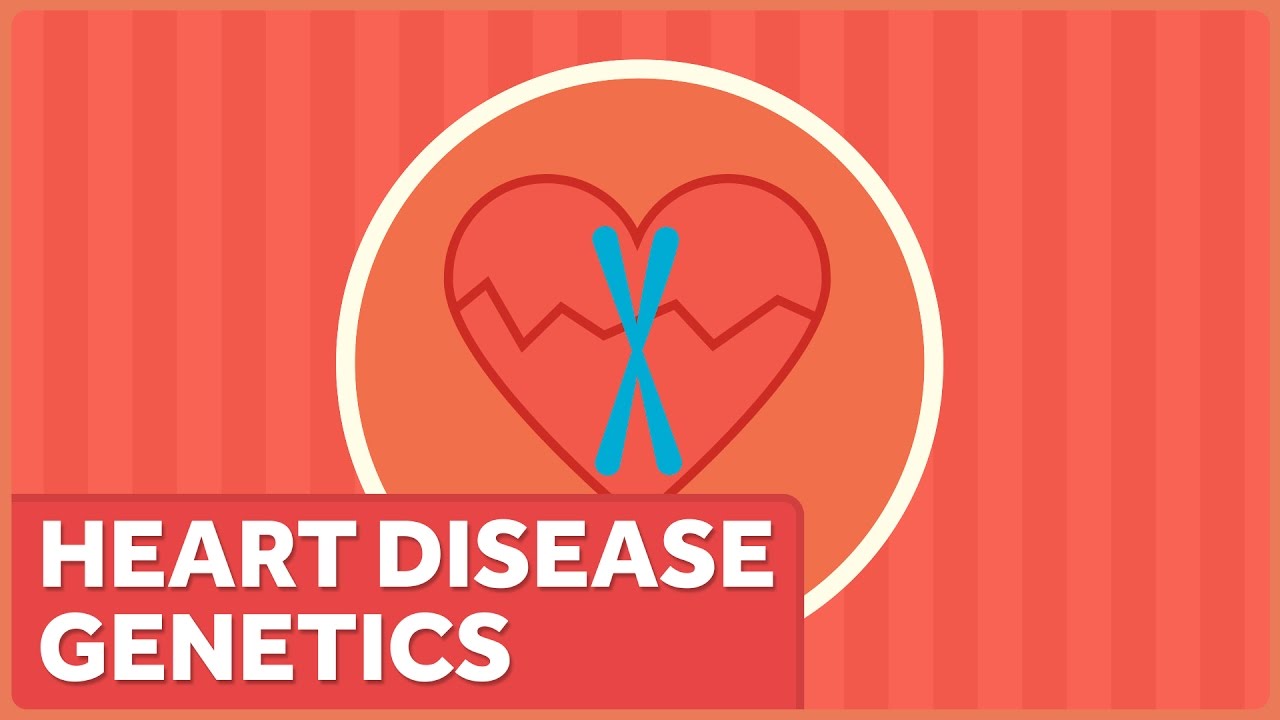 Heart Disease Prevention Works, Even If You Have Bum Genes