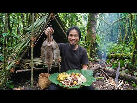 Tropical Rain Survival Adventure | Shelter Building and Harvesting Wild Food Deep in the Jungle