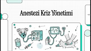 Veteriner Acil Anestezi Komplikasyonları ve Yönetimi