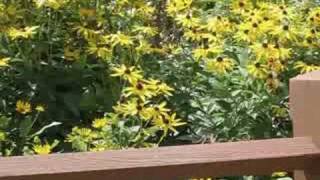 You're My Everything