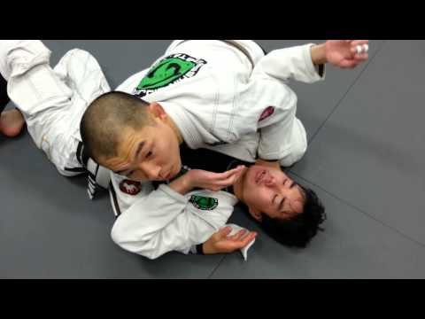 ハーフガードパス – ブラジリアン柔術