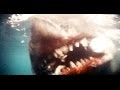 THE ORGINAL JAWS