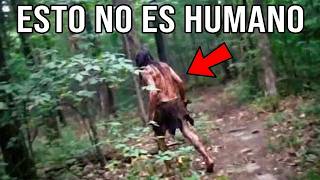Oculto en los Bosques: 10 Cosas Extrañas Encontradas Por Guardabosques