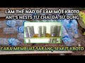 Cara Membuat Sarang Semut Kroto Budidayasemutrangrang
