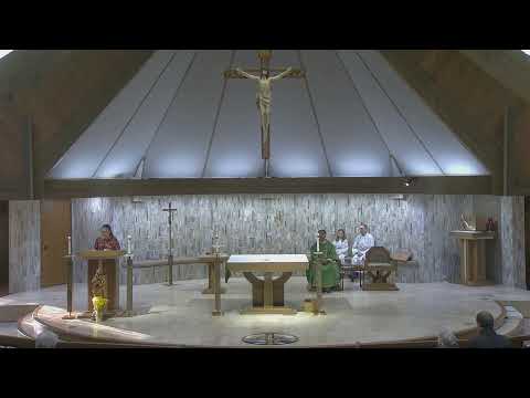 33rd Sunday of Ordinary Time 8am Mass