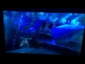 Nemo Allahu Ackbar Version