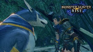 【初心者ハンター🔰】下級クエストからのし上がっていく⤴⤴ 『モンスターハンターライズ 』