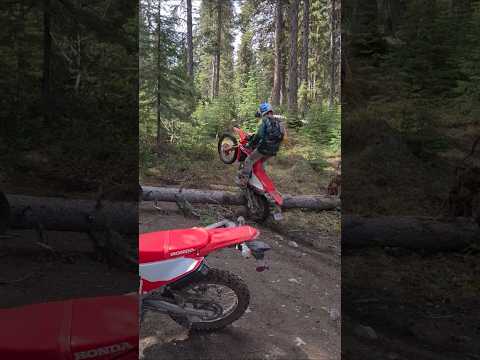 The Honda #CRF300L is a lot more capable than people give it credit for. #hondacrf300l