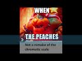 FNF Peaches bowser chromatic scale test
