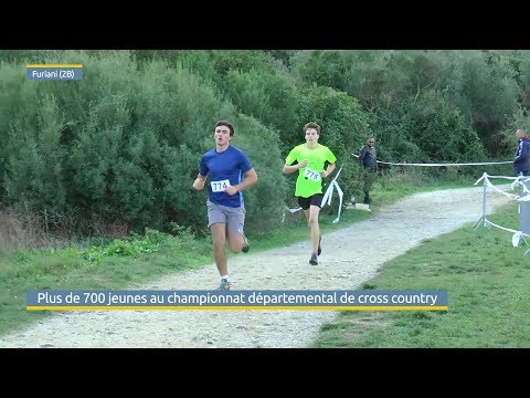 Plus de 700 jeunes au championnat départemental de cross-country