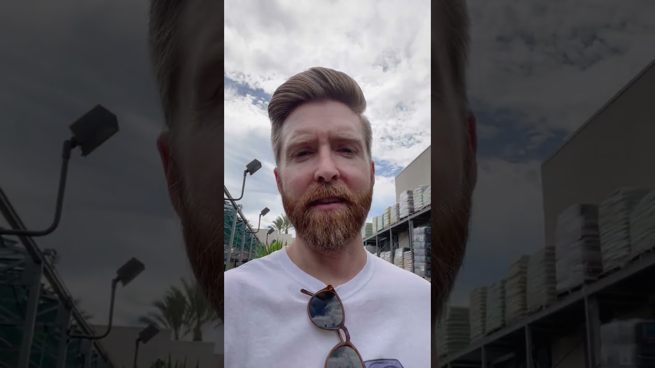 Picking nursery bonsai #bonsai #gardening #garden #plants #bonsaitree #howtobonsai