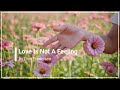 Love Is Not A Feeling Don Francisco with Lyrics (4K)