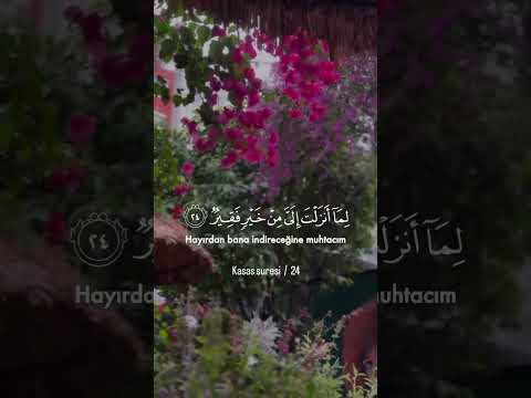 Kasas suresi ~ 24.Ayet.. #kuran