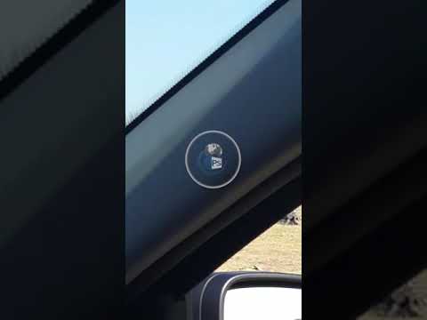 Comunitate rromi judetul Satu Mare