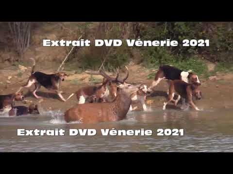 EXTRAIT DVD VENERIE 2021