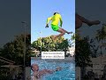 DAD THROWS HIS SON Viral Childhood Memories Family Swimming Familyfun Pool Swim Dad Son