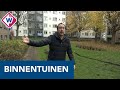 'Opknappen Haagse binnentuinen moet beter' - OMROEP WEST