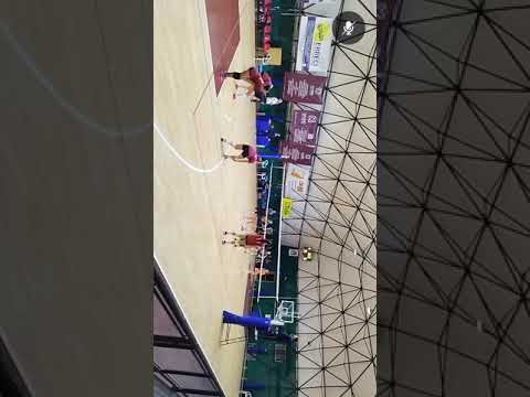 Roma Volley SSD ARL 🆚 Fenice Pallavolo