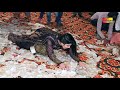 Mehak Malik New Entry 2019 Asan Tan Malang