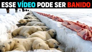 🤬 NÃO ME IMPORTO se o vídeo for BANIDO! NÃO ALIMENTEM ANIMAIS SELVAGENS