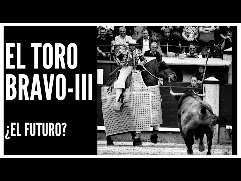 🐂 TOROS DE LIDIA III 🐂 ¿EL FUTURO?