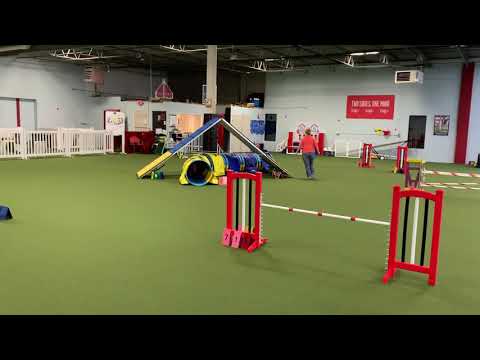 USDAA 110228 Standard Master Module 1 3/25/2021