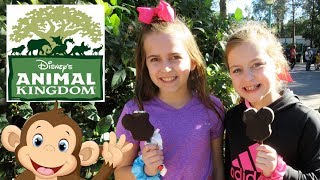 Disney's Animal Kingdom! Expedition Everest and Festival of the Lion King!| Crazy8Family