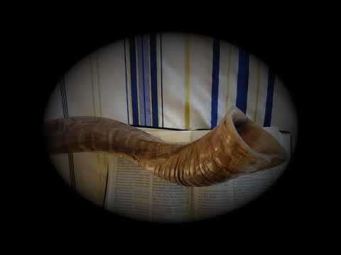 Zur Zeit der letzten Posaune! - Dr. Arnold G. Fruchtenbaum